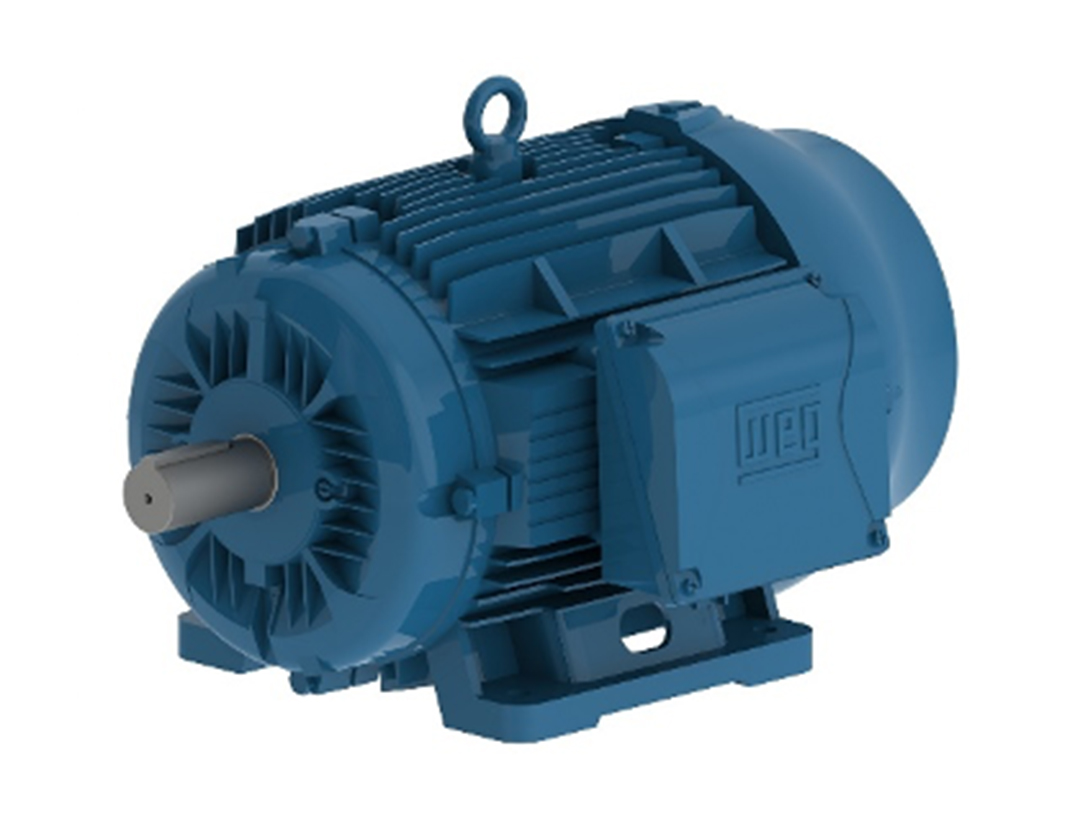 WS-W001-P00060046-Motor 15kw IEC 4P Mountng B3L(D 400-690V 3ph 50Hz IP55 WEG