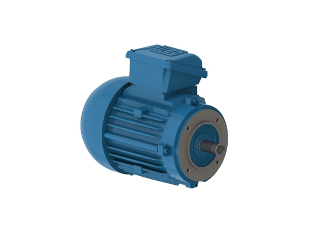 WS-W001-P00060088-Motor 55kw IE1 4P Mounting B3T 230-400V 3ph 50Hz IP55 WEG