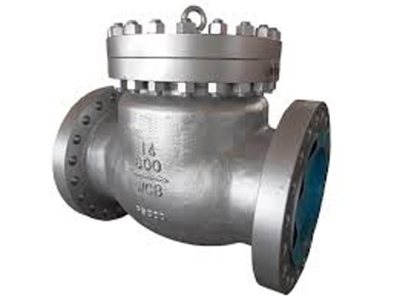WS-P001-VM6000SVC12-NON RETURN CHECK VALVE